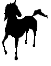 pony silhouette