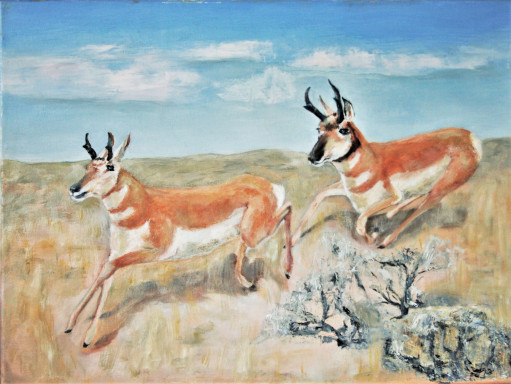 oil painting of pronghorns