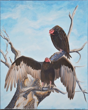 acrylic painting of two turkey vultures by Cindy Rogers