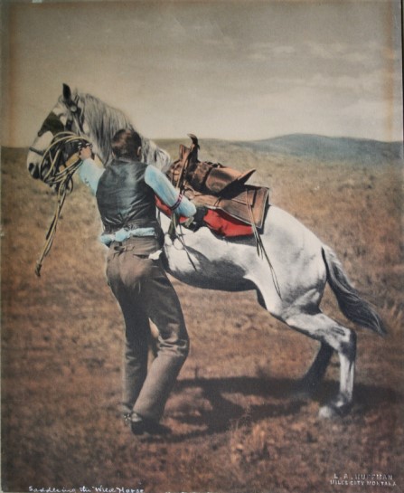 collotype of Huffman photo circa 1894 cowboy saddling a horse